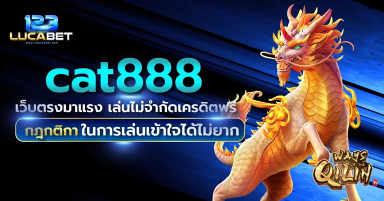 cat888
